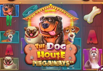NOVOMATIC - игровой автомат онлайн от Various с RTP 96.9%